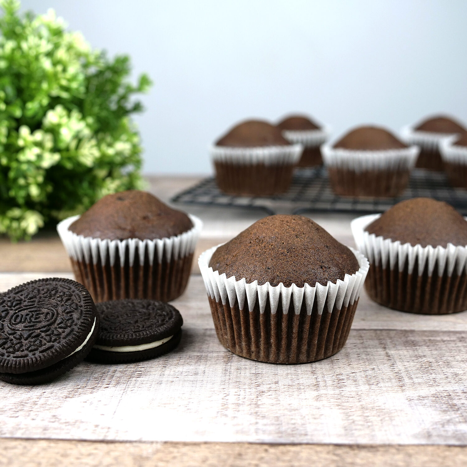 VEGAN CHOCOLATE OREO CUPCAKES