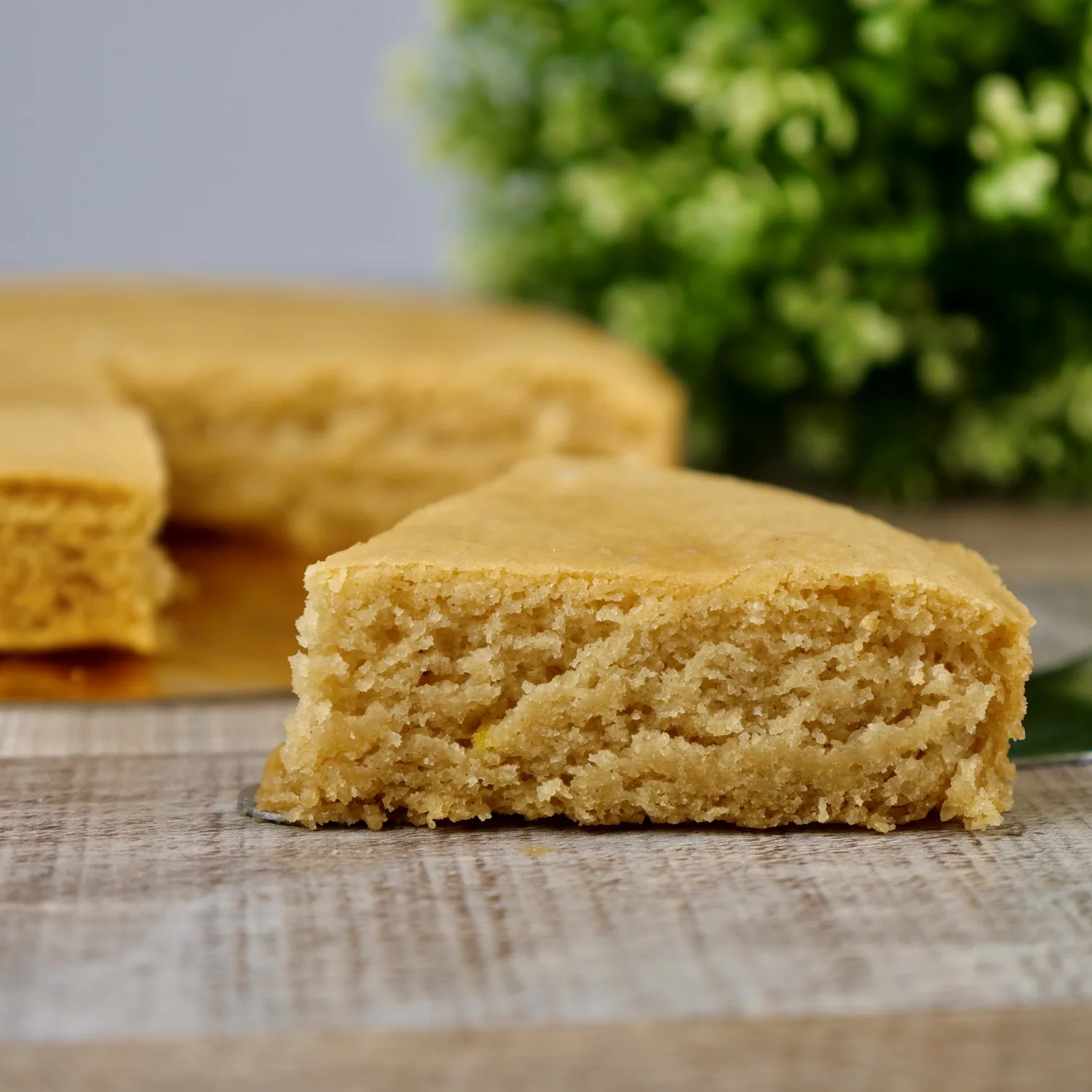 Vegan Gluten Free Vanilla Cake